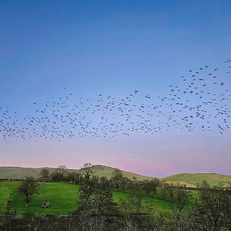 Wild Valley Bunkhouse Llanrhaeadr-ym-Mochnant 외부 사진