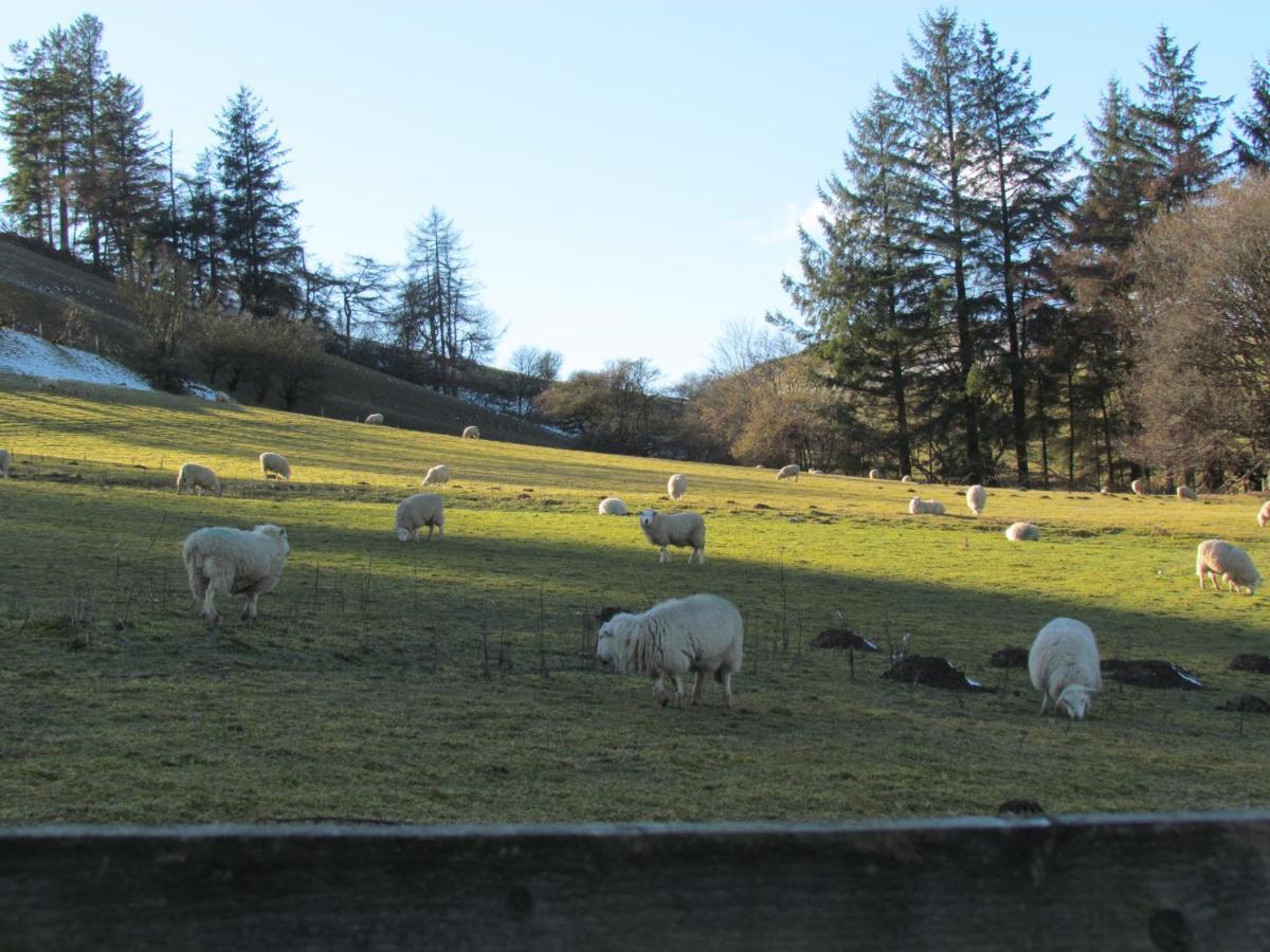 Wild Valley Bunkhouse Llanrhaeadr-ym-Mochnant 외부 사진