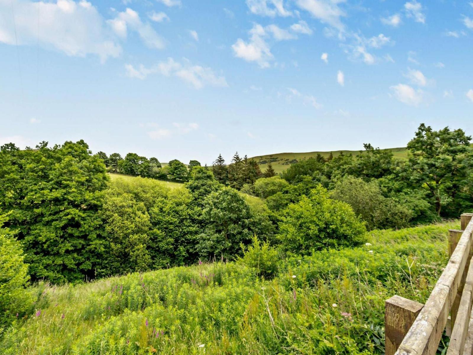 Wild Valley Bunkhouse Llanrhaeadr-ym-Mochnant 외부 사진