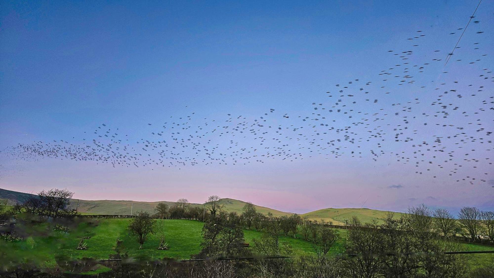 Wild Valley Bunkhouse Llanrhaeadr-ym-Mochnant 외부 사진